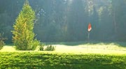 Golf Bayerischer Wald - die schönsten Golfplätze Bayerns