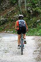 Radeln und Mountainbike Bayerischer Wald